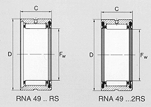 Rna49_RS_Big.gif (24937 byte)